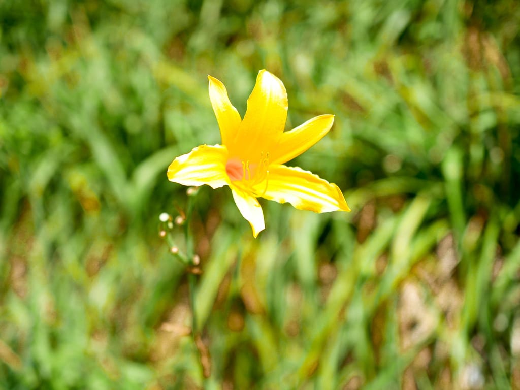 255B33D0-F2AB-4892-BF24-F5E923EFD462.jpeg