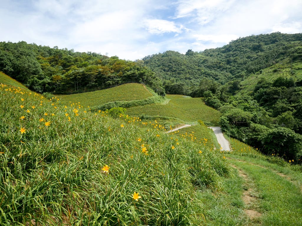 753F8748-A1CE-4B8D-8030-F2A25269F976.jpeg