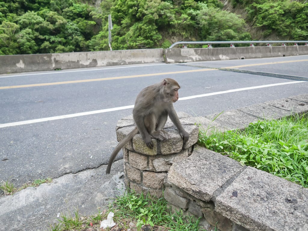 EB238202-D7BB-4616-985F-F657CA631EFD.jpeg