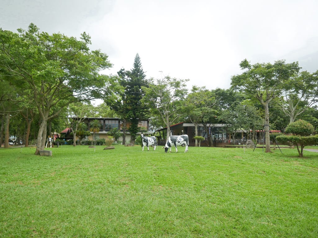 40A196A5-C312-45F0-8093-B8633006CED5.jpeg