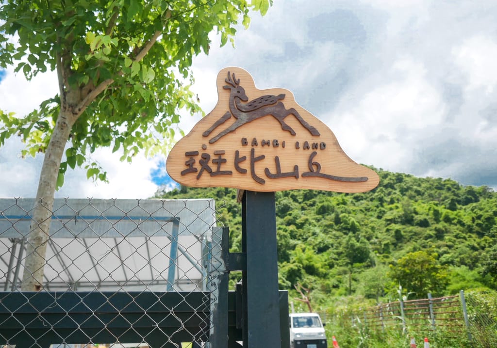 03AE36DB-D3FF-40C9-B825-3373E7E883A7.jpeg