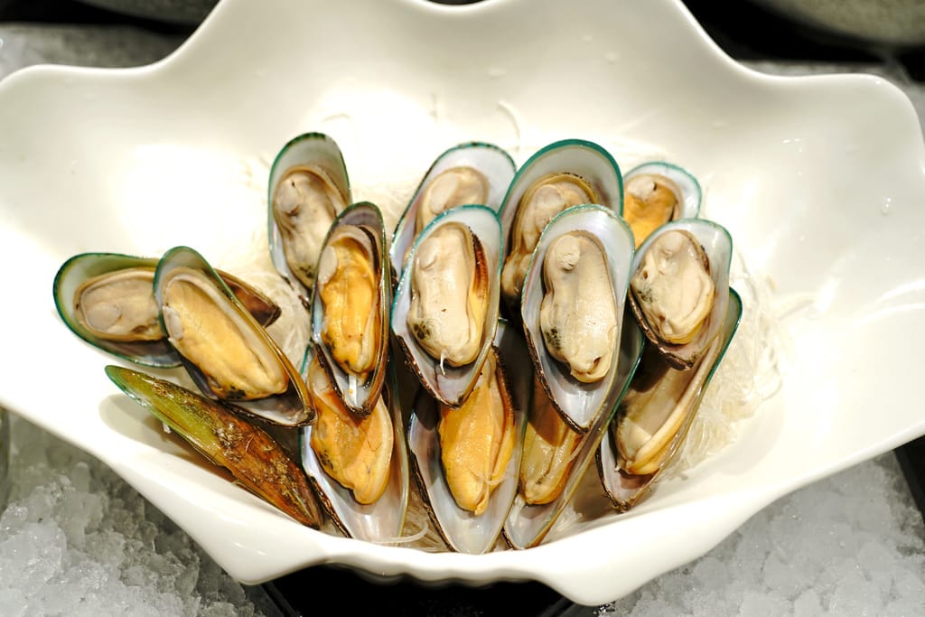 A802FD08-B186-40FB-A2D4-73AF3D90D25A.jpeg