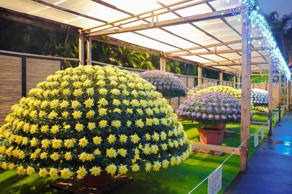 C007F10C-017D-406B-908A-56910F5F1A9B.jpeg