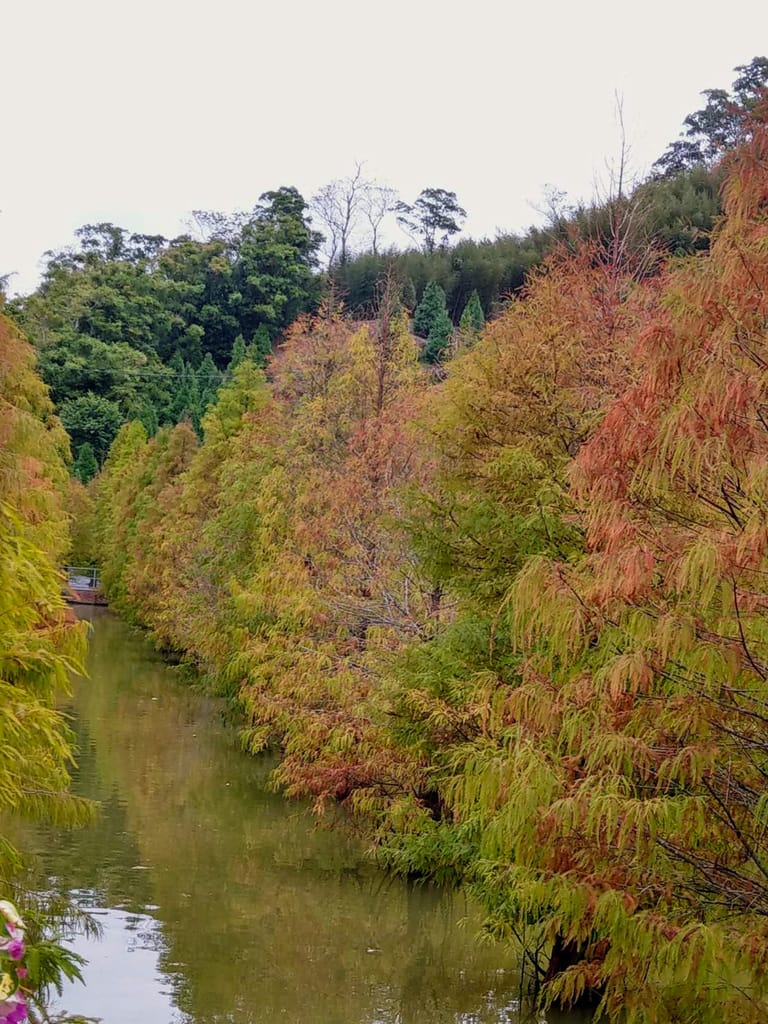 DD1BFAA5-B2DC-498B-892F-0CC638CA1864.jpeg