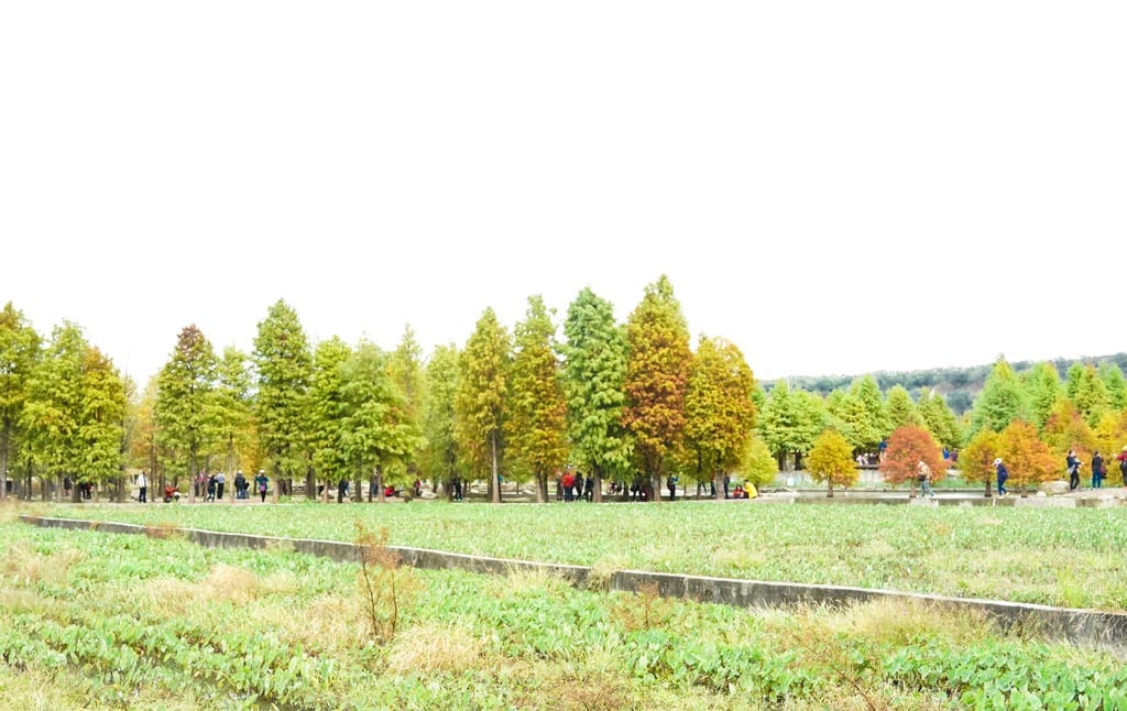 92BA4D05-5246-4370-88CB-67602F75EC3E.jpeg