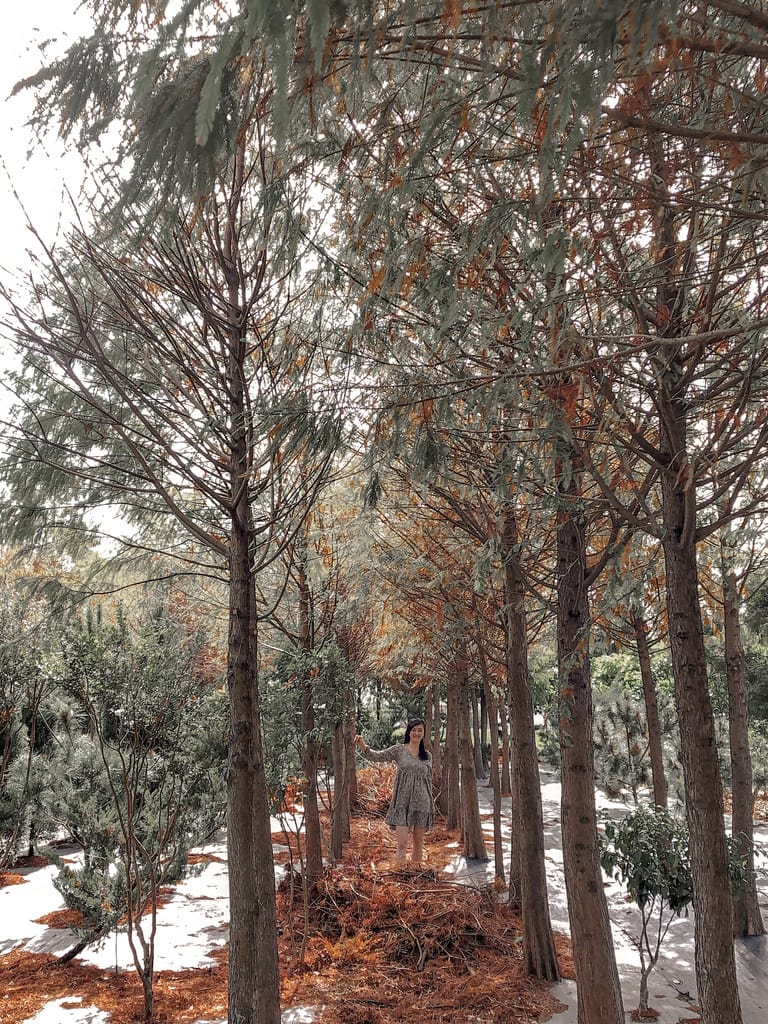 35452AAD-3998-4AD4-AAB0-1783A0B950A3.jpeg