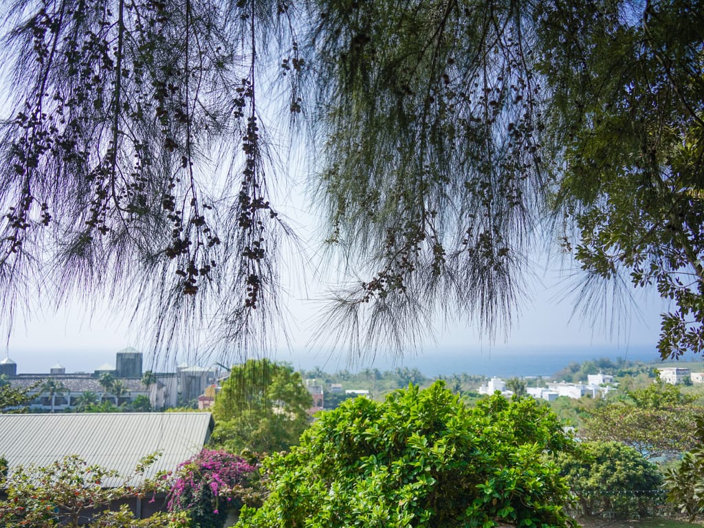 8822206C-1DE6-4594-BD22-24C0E15583A2.jpeg