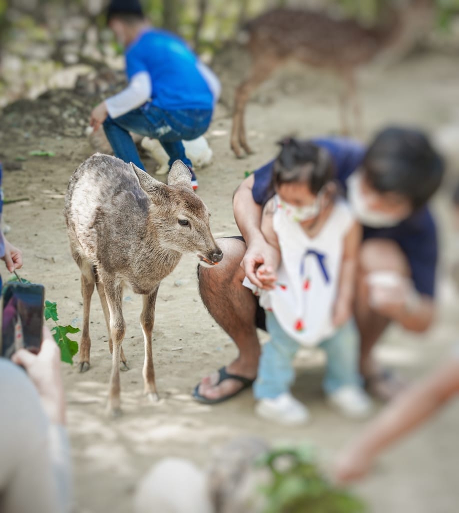 1F474E35-F588-4D71-8A09-EA66ADF7494B.jpeg