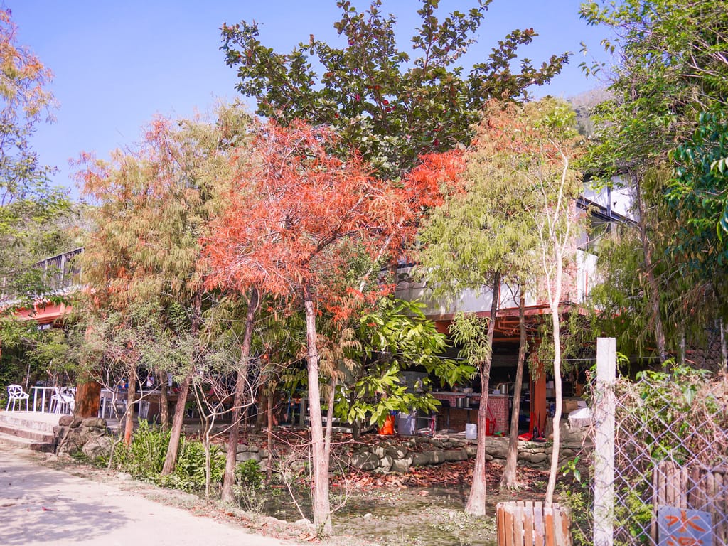 68118D90-AF8C-4076-8A7D-DAE77DAF6162.jpeg