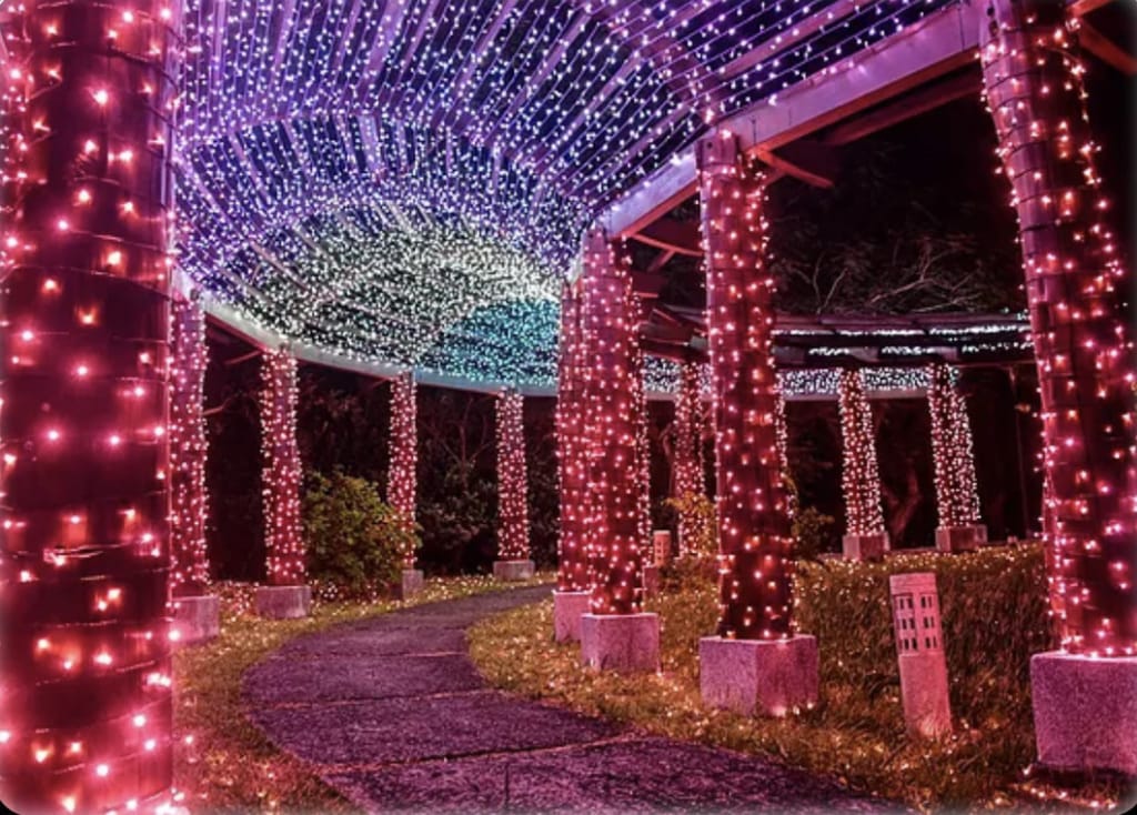 6F6E5190-B724-40BF-8751-3831A52276C3.jpeg