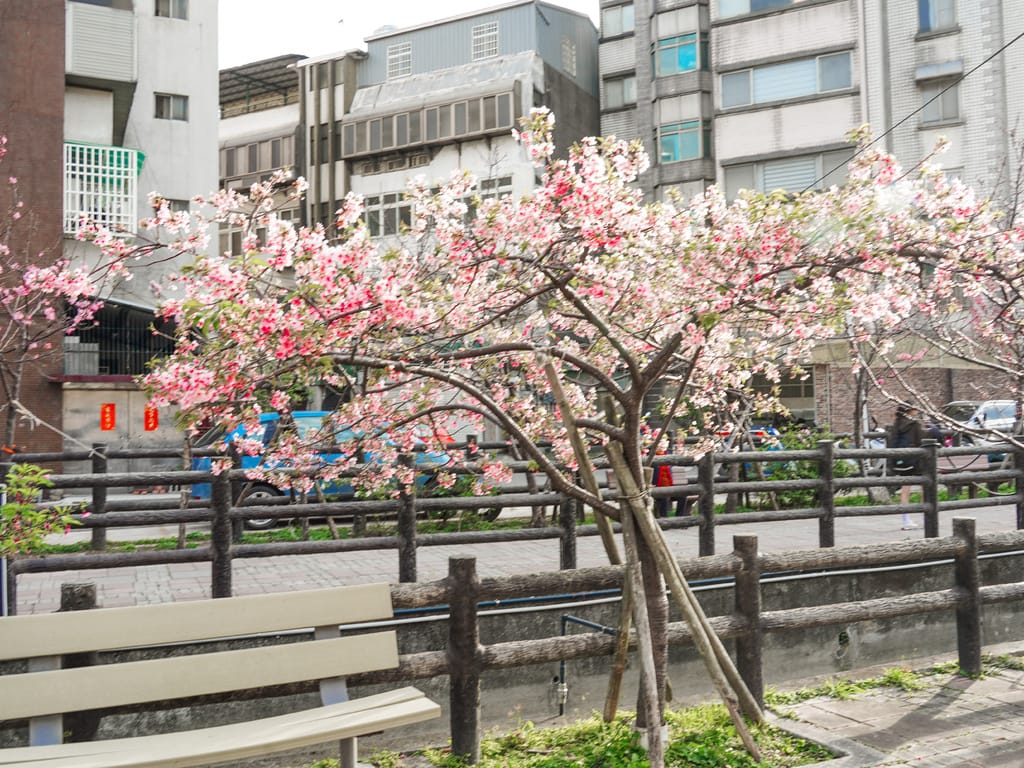 CC5137AF-BD95-49DF-A226-94E5ABF41A3C.jpeg