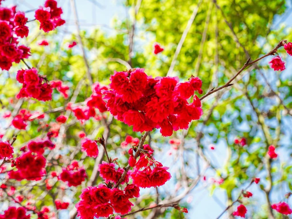 0ED7A621-2402-4A02-924C-298A475F3A53.jpeg