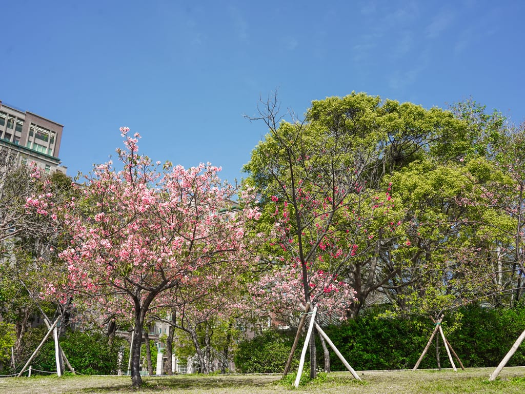 DD06A825-BA1F-4A7D-A51F-3ED0A904EAE1.jpeg