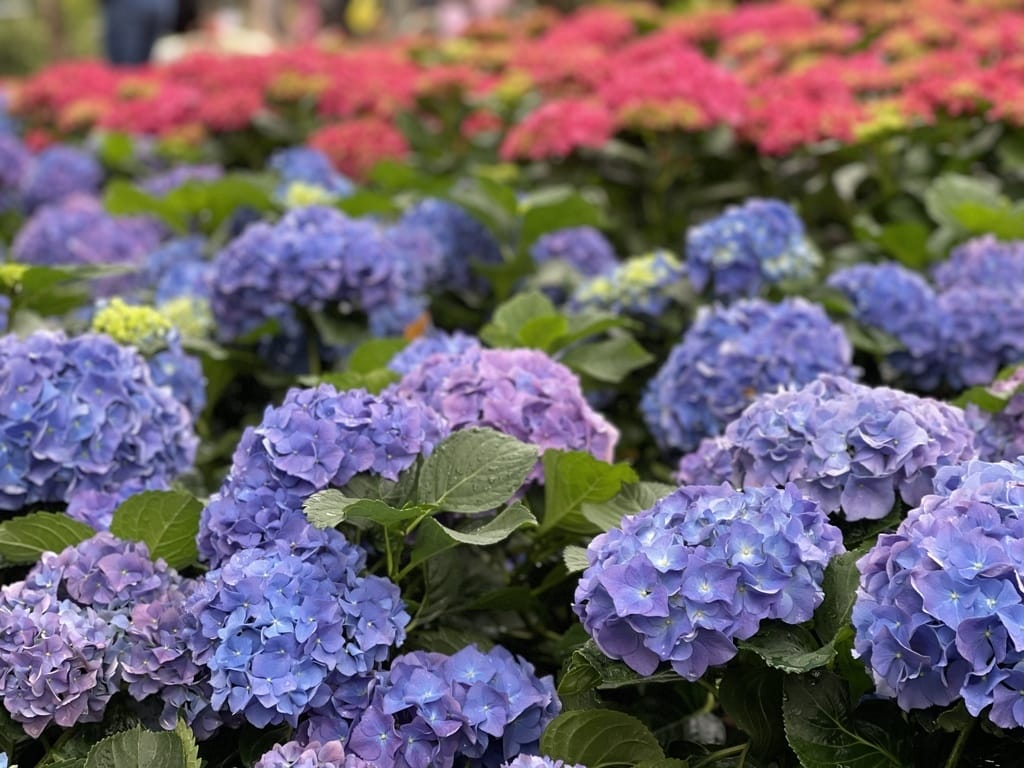 9D925351-E541-4B89-AF34-5C2B068EA06B.jpeg
