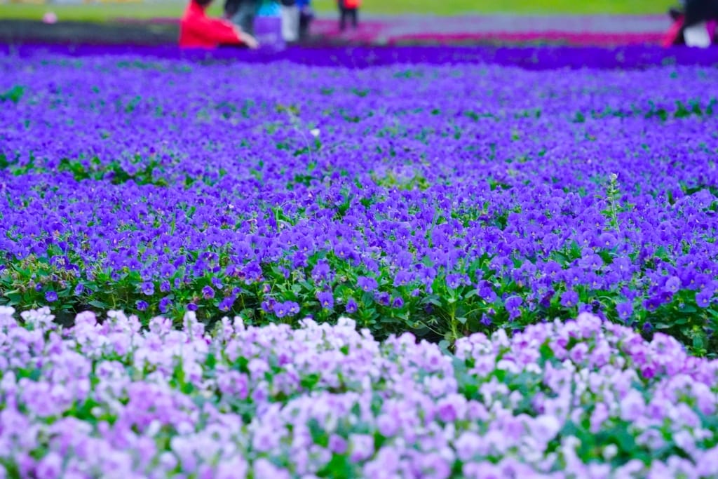 86B1406C-8F22-4A39-BCEA-E2F2176EEAAB.jpeg