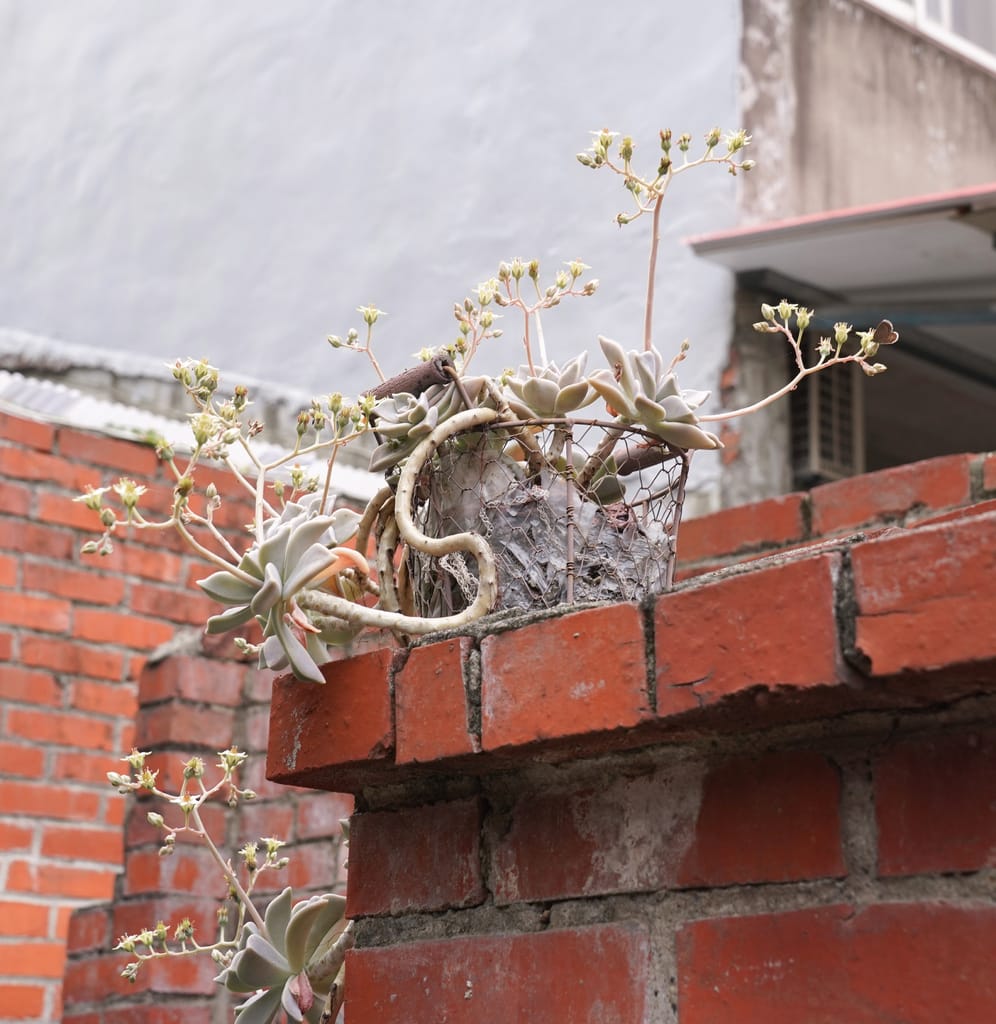 4B1F0612-ABAA-4F4D-BF84-60DA71987633.jpeg
