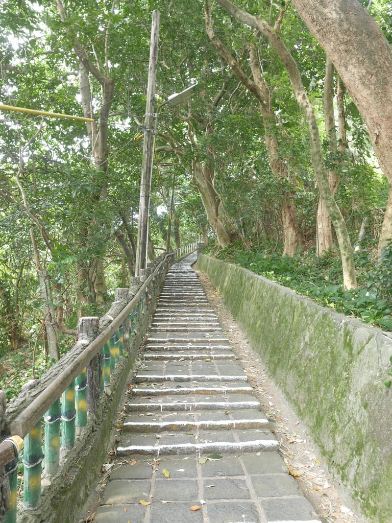 台北劍潭山親山步道，老地方觀機平台，180度鳥瞰市景看飛機，捷運劍潭站市中心旁的步道！ @瑪姬幸福過日子