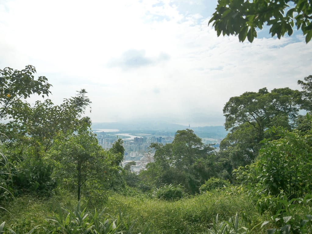 30BFAD44-A1A7-4F12-8B8D-EC362EE6B042.jpeg