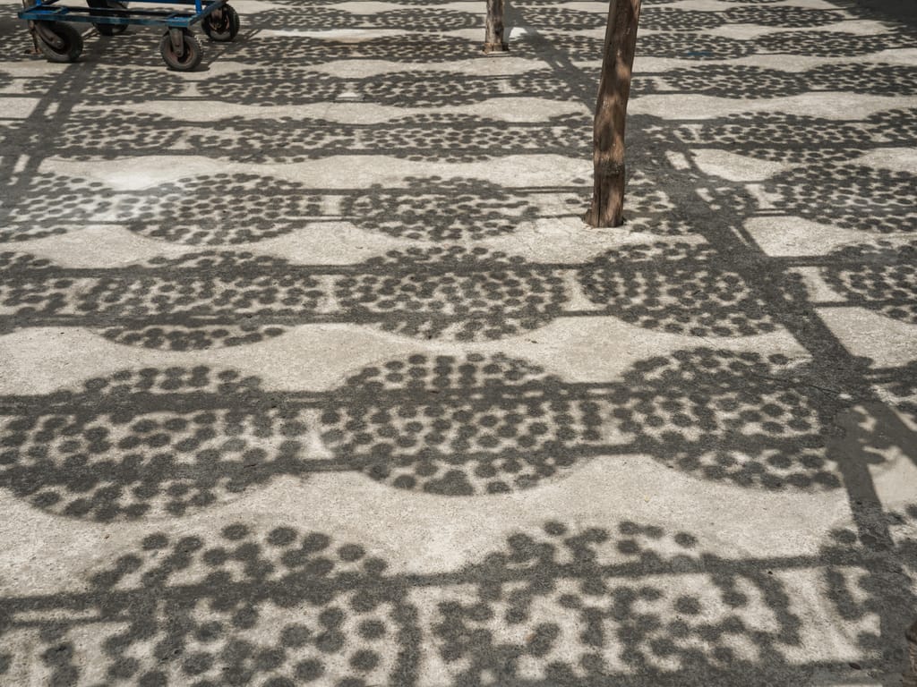 6996F415-0268-457E-9B5B-A36719943803.jpeg