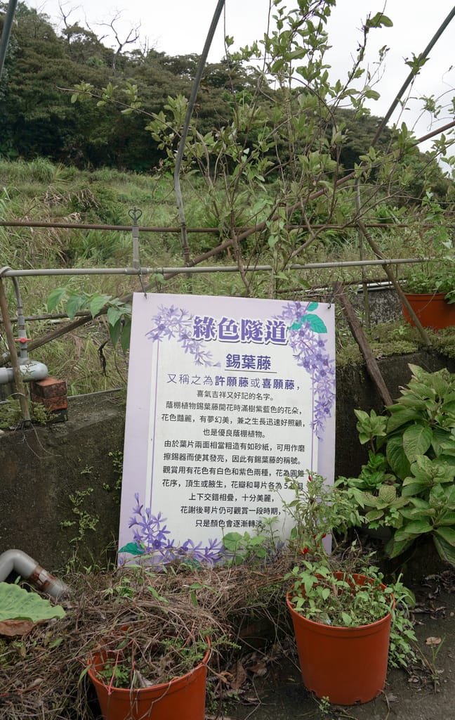 E4967F7B-BBD4-49E3-9482-AEBCB8662844.jpeg