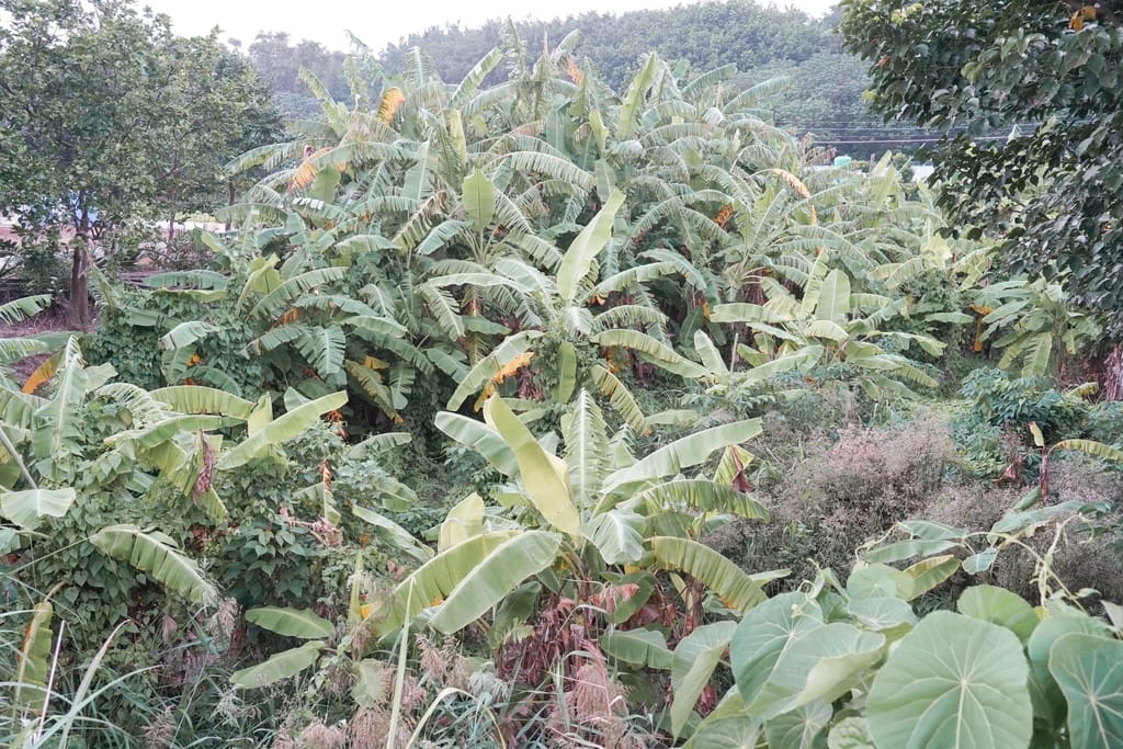 7282028D-71D5-4AB3-AAFC-2889BAB9766A.jpeg