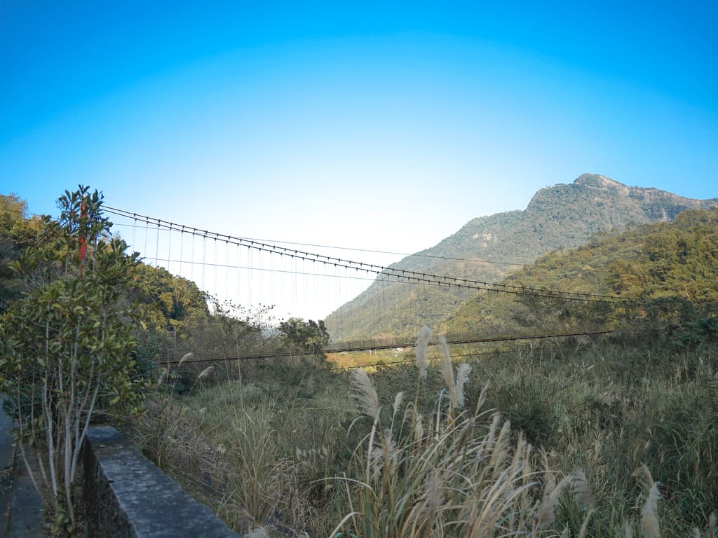 F21B55D0-46D3-4972-B7D1-7AF2A0820202.jpeg