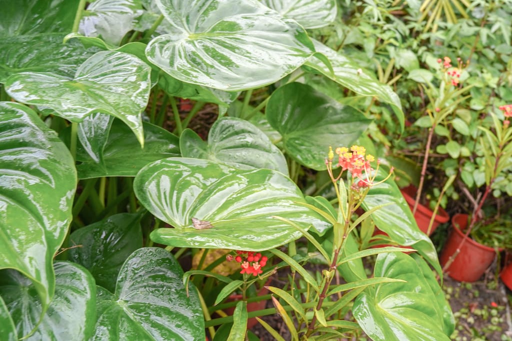 5C00533E-DAC2-446D-9A07-56319A87DA36.jpeg