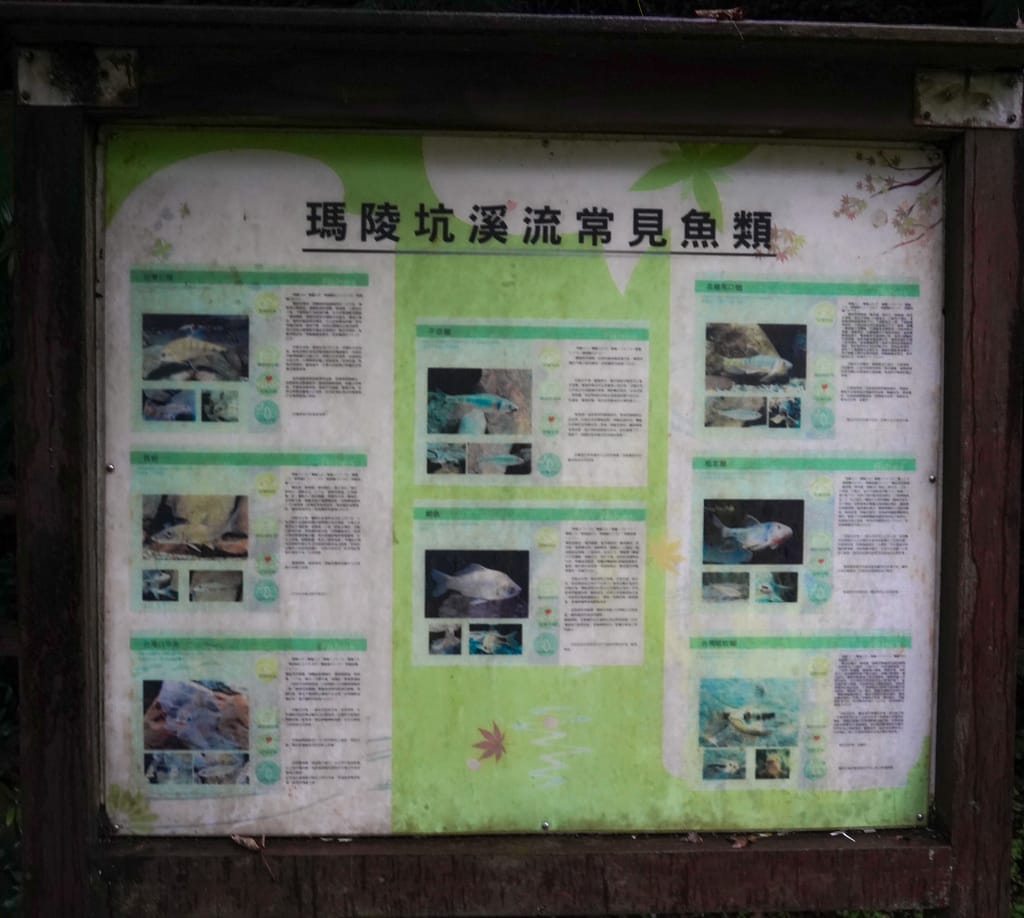 BC747E23-282B-4472-A0E0-97EAA5445642.jpeg