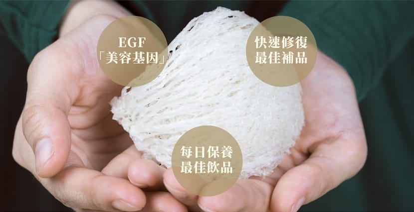 E7C7C84B-DFD6-4B80-B320-E04851C63D3A.jpeg