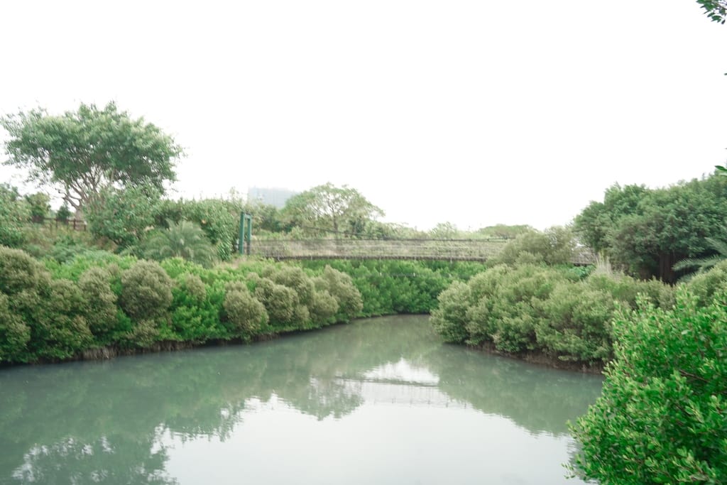 91FD7A7D-40B6-4223-B62D-7A171E2F4409.jpeg