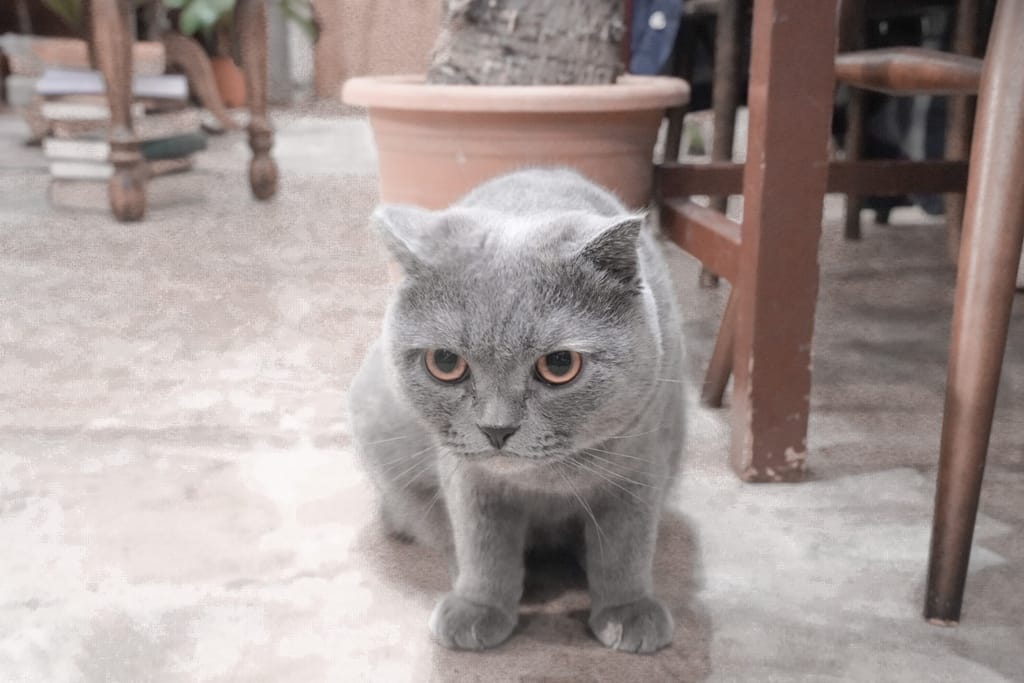 38715050-515D-41BD-92F0-F69A5343EE4F.jpeg