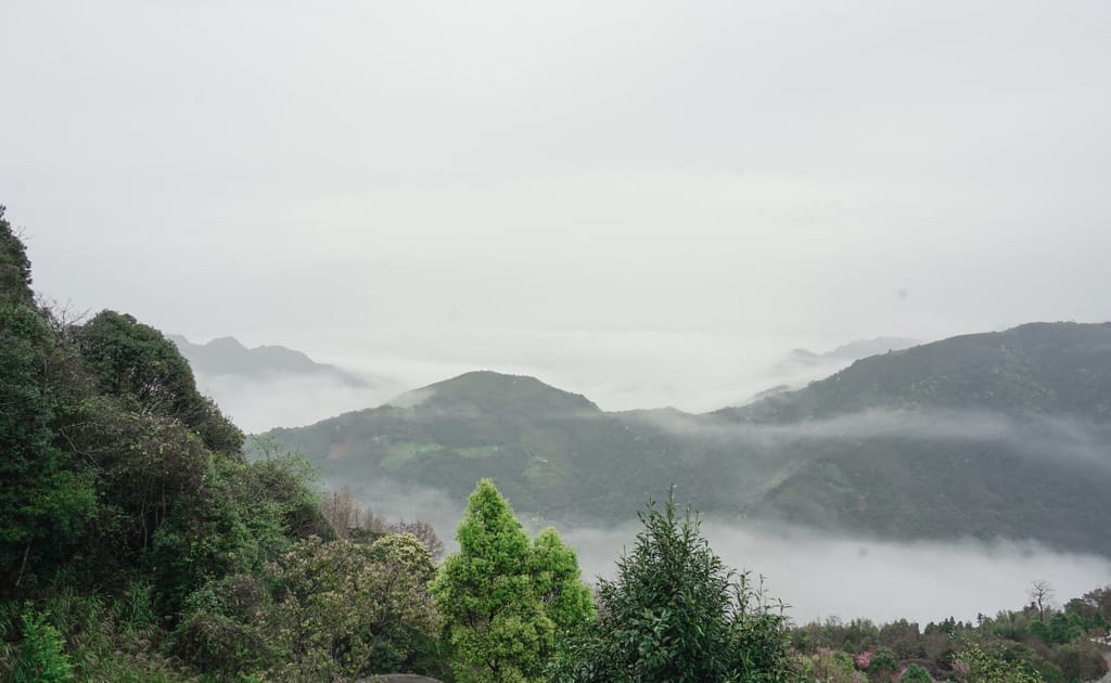 D602E95A-061F-4E4E-8434-E91AD38720B6.jpeg