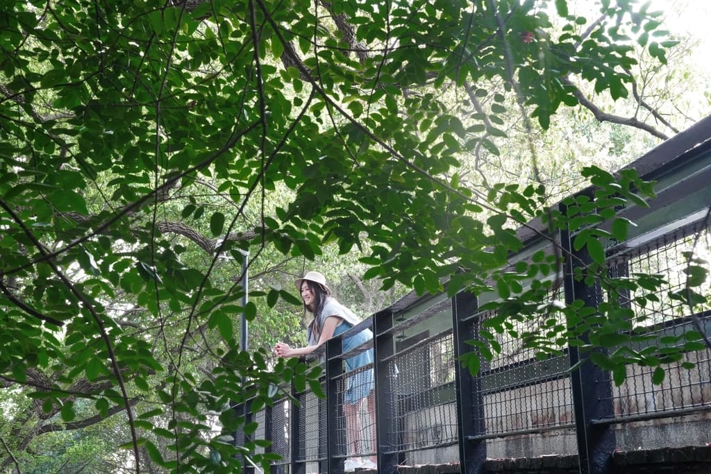 淡水咖啡｜媽媽嘴咖啡淡水樂活店，獨棟隱匿在樹林之中的森林系不限時咖啡廳，療癒系陽光玻璃屋，超好拍！ @瑪姬幸福過日子