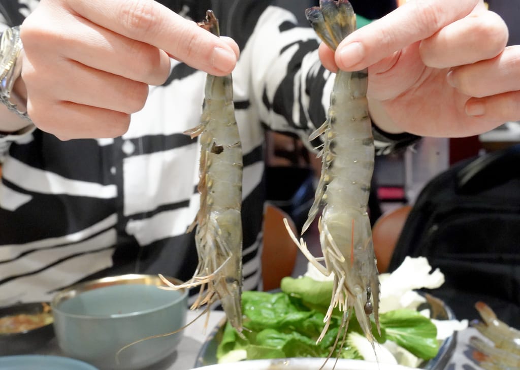 DSC07567.JPG