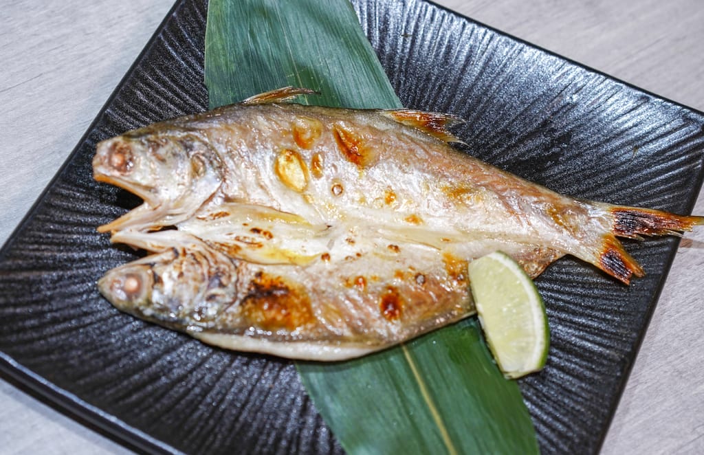 DSC09083.JPG